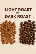 Light Roast vs Dark Roast Coffee: Flavor, Caffeine &amp; Taste Explained